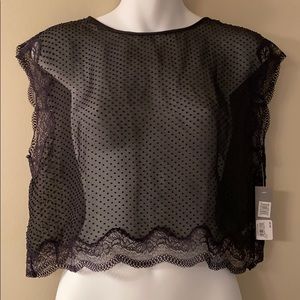 CHELSEA28 Sheer Dotted Swiss Lingerie Top